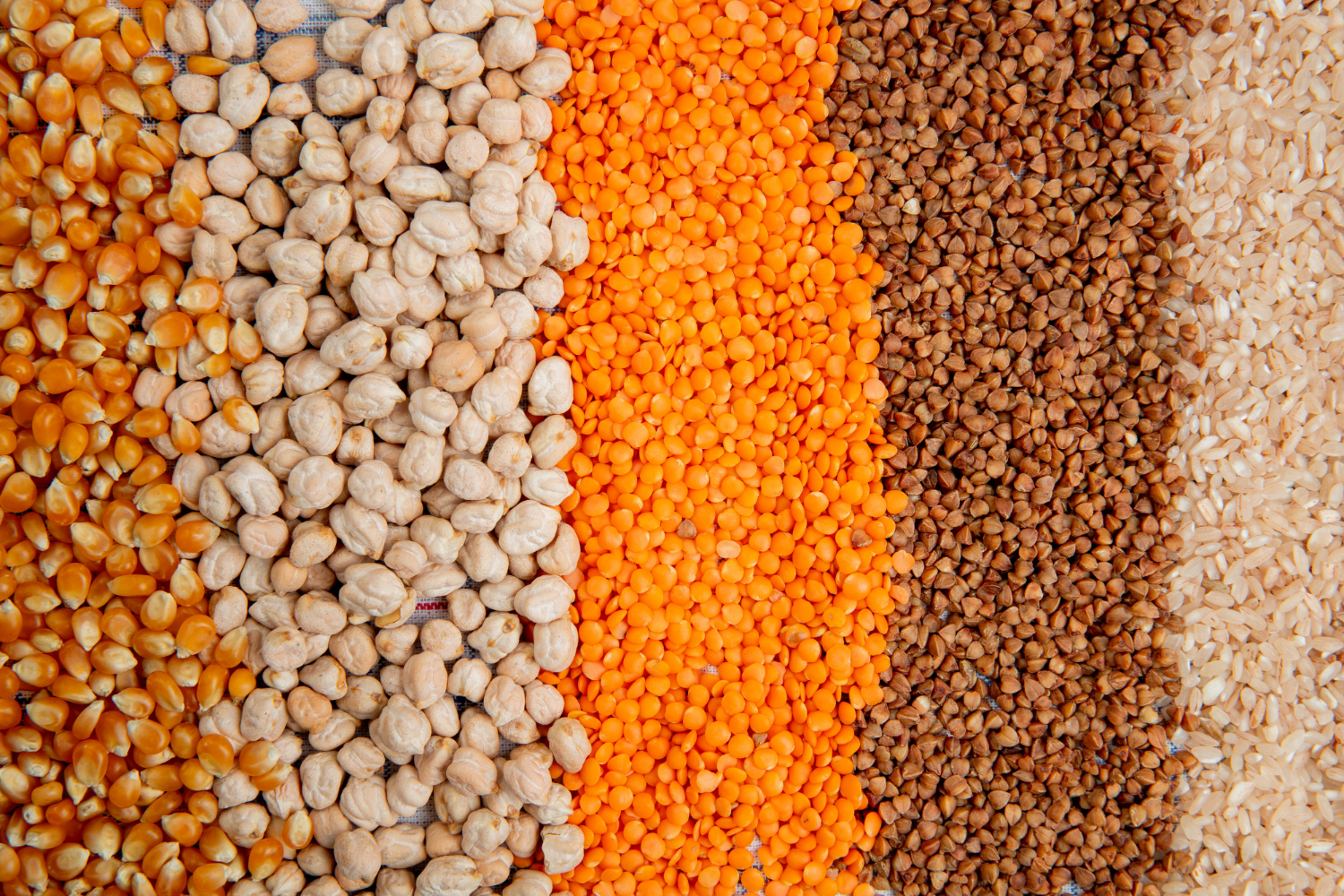 Grain Nest quality food products